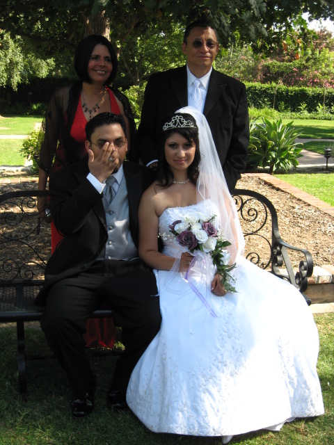 457x616 pixels (138K)